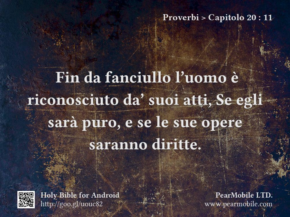 Proverbi, Capitolo 20:11